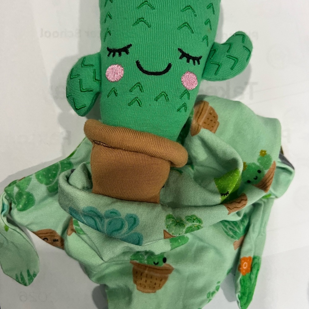 Little Sleepies Green Cactus Lovey with Pink Cheeks